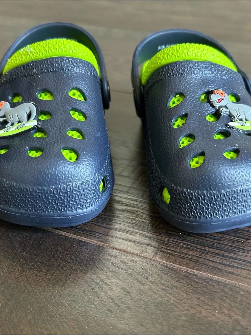 Capelli New York Dinosaur EVA Clog Toddler Size 5